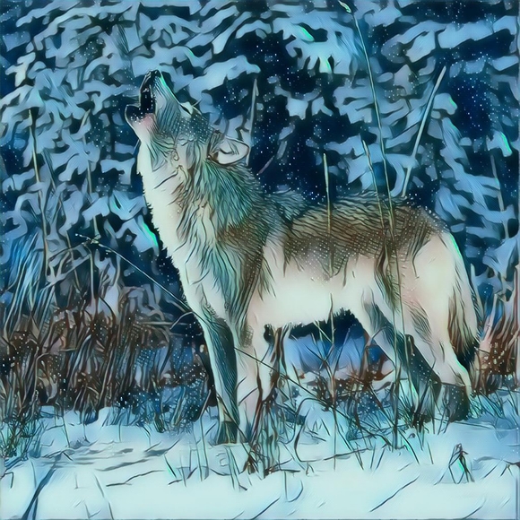 Everest Graphic Design Other - "North Of Midnight" Wolf 8.5 inch's X 11 inch's